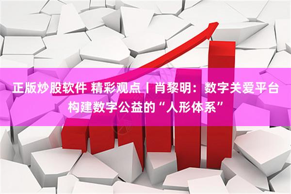 正版炒股软件 精彩观点丨肖黎明：数字关爱平台构建数字公益的“人形体系”