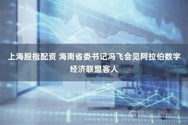 上海股指配资 海南省委书记冯飞会见阿拉伯数字经济联盟客人